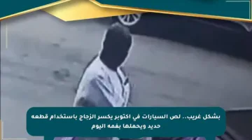 بشكل غريب.. لص السيارات في أكتوبر يكسر الزجاج باستخدام قطعة حديد ويحملها بفمه اليوم